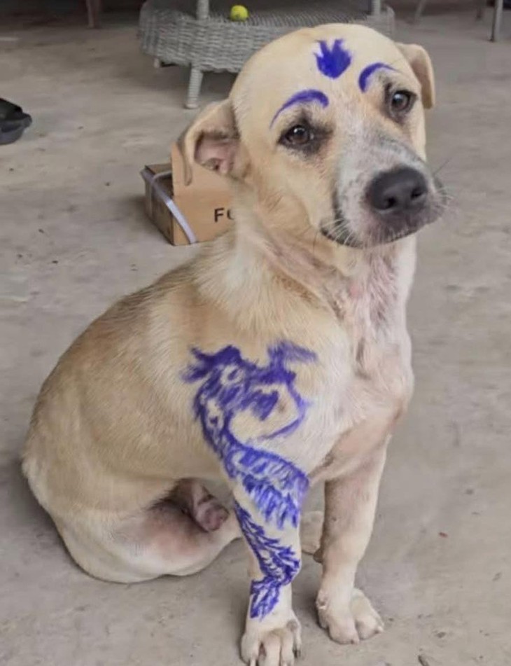 phép vua - Ảnh 6.