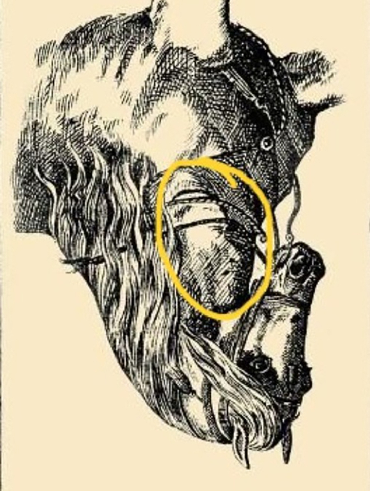 con ngựa - Ảnh 2.