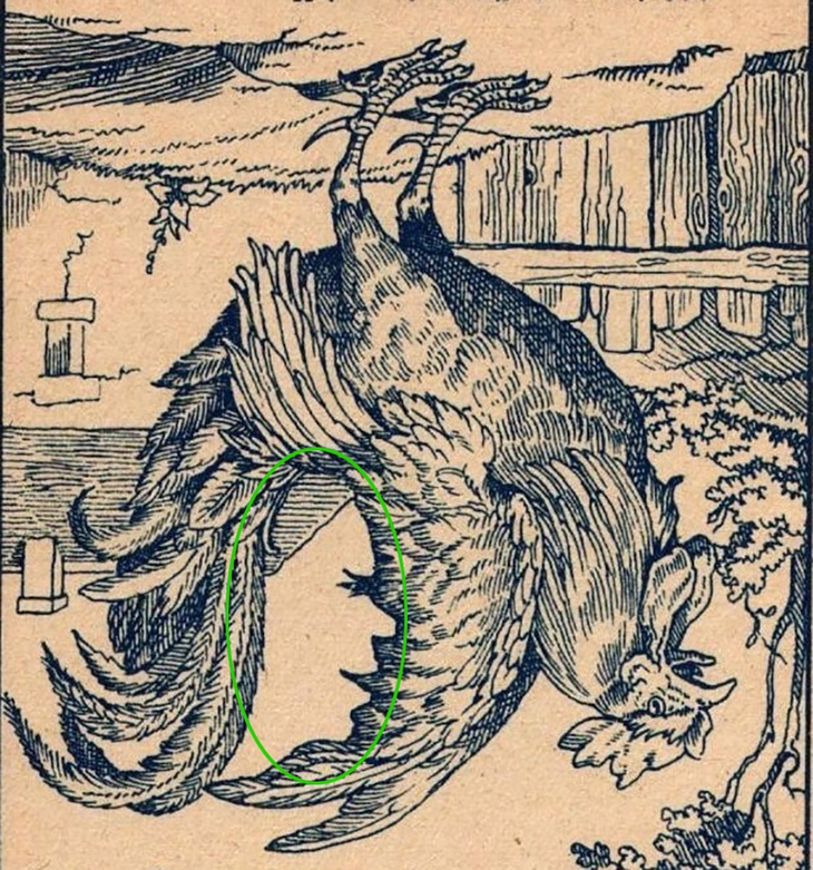 gà trống - Ảnh 2.