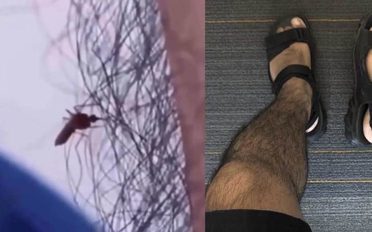 Hahalolo - mạng xã hội từng đòi 'đè bẹp' Facebook giờ ra sao? - Ảnh 6.