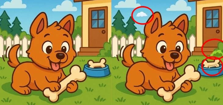 Chủ nhân của con ngựa ẩn giấu ở đâu? - Ảnh 1.