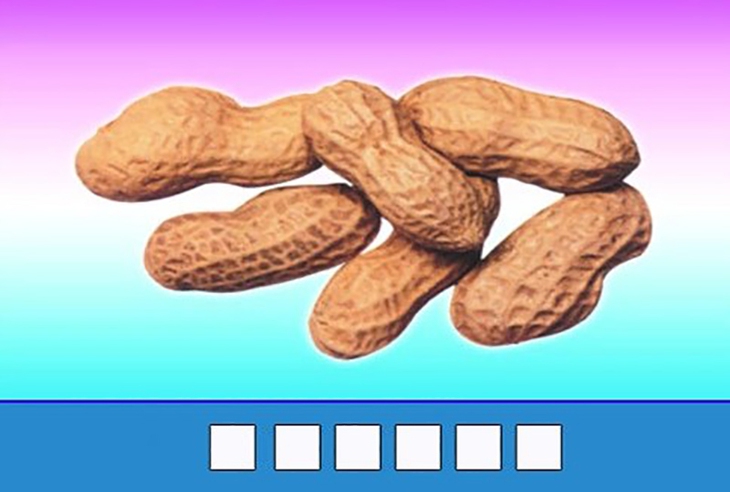 đuổi hình bắt chữ - Ảnh 3.