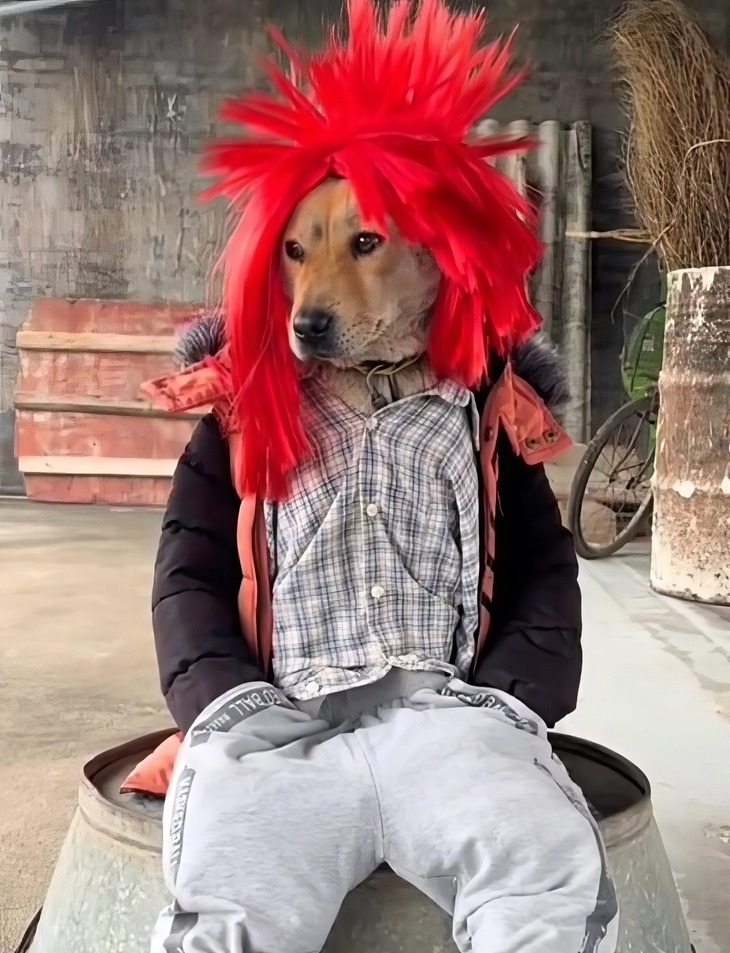 đồng nghiệp - Ảnh 2.