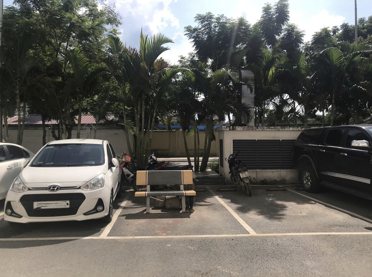 miễn phí - Ảnh 1.