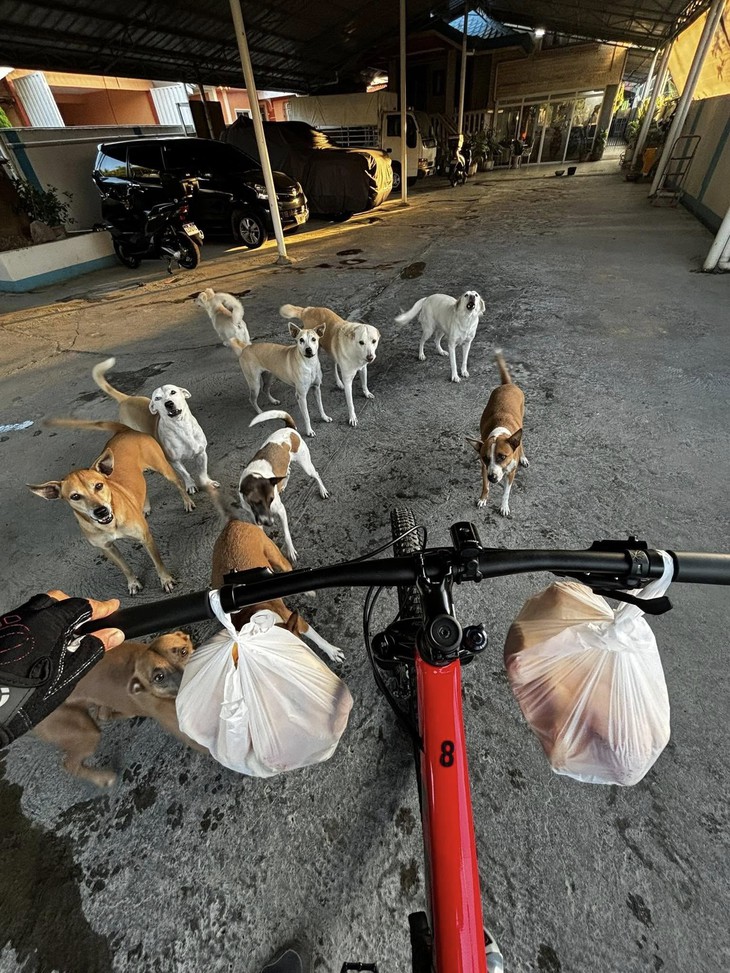 miễn phí - Ảnh 2.