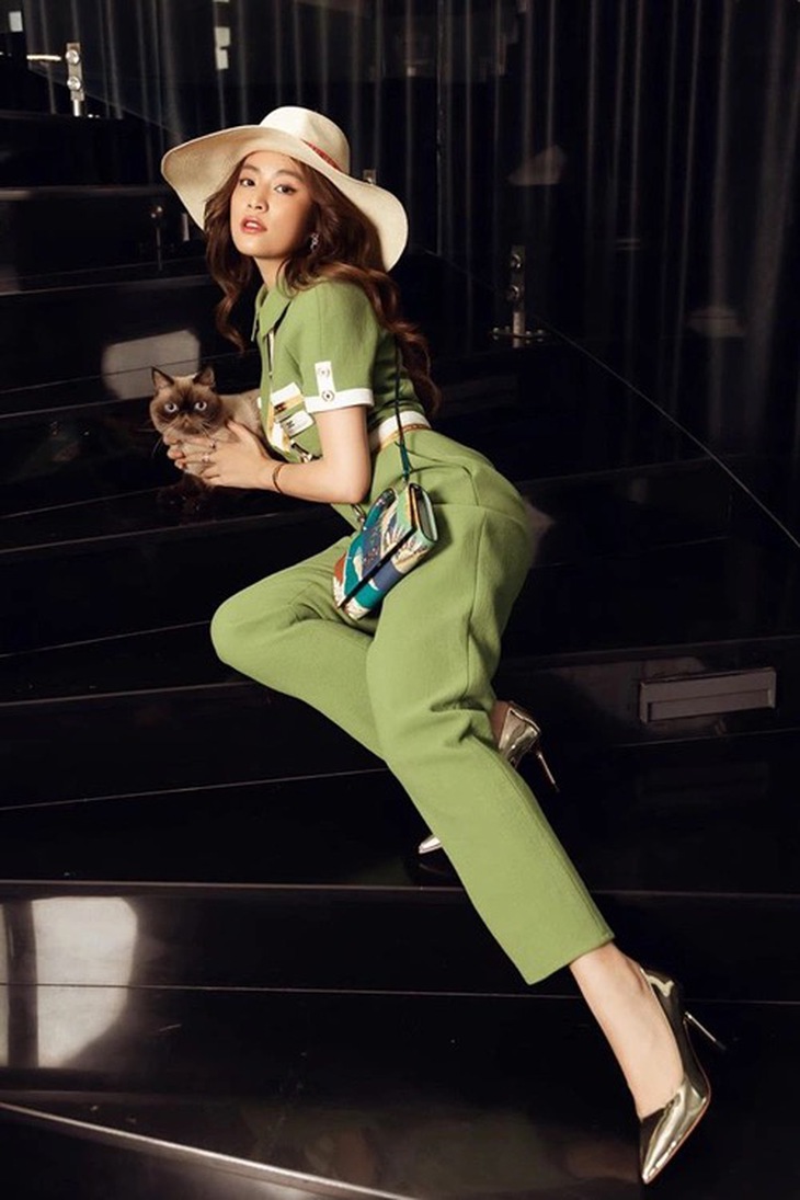 Hoàng Thùy Linh giàu cỡ nào ở tuổi 37?  - Ảnh 7.