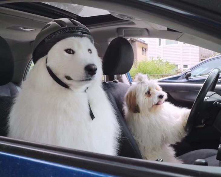 tiếng Anh - Ảnh 5.