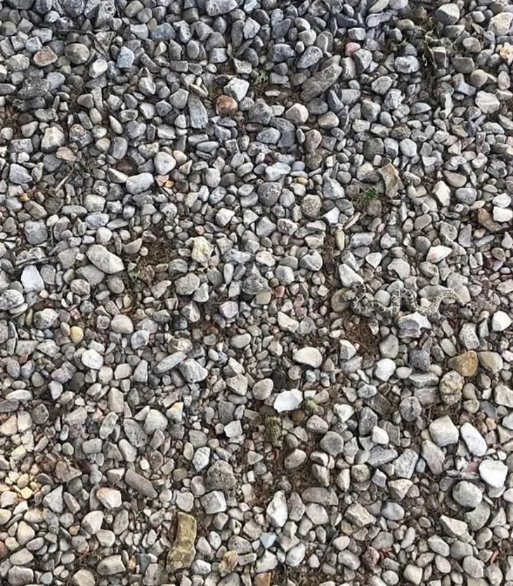 Mắt 10/10 - Ảnh 3.