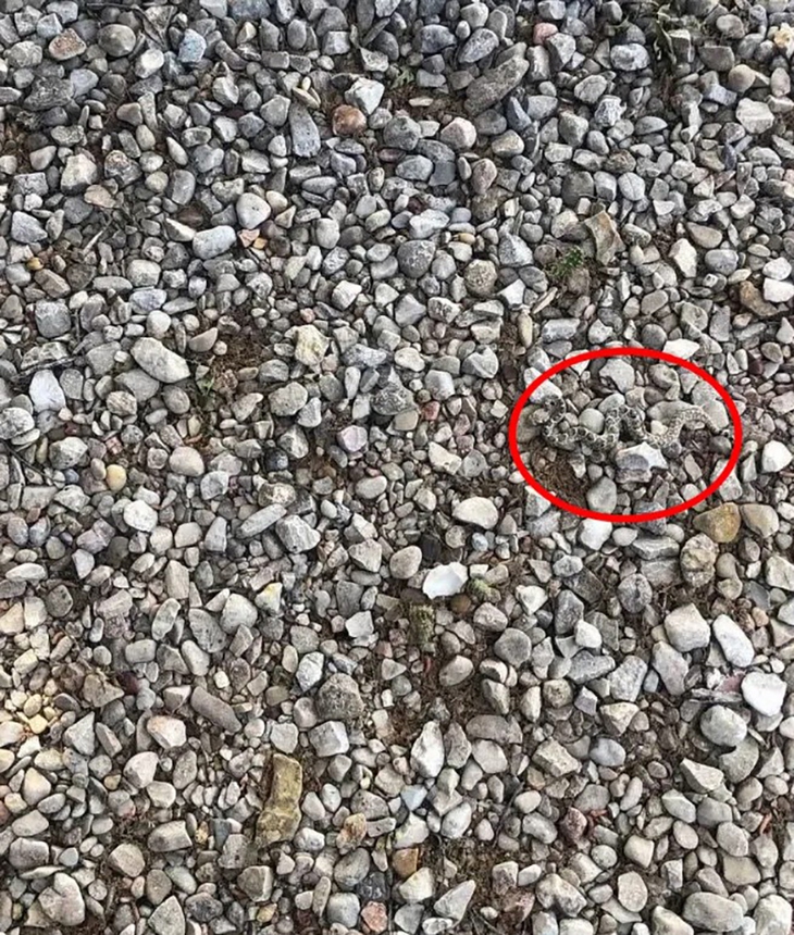 Mắt 10/10 - Ảnh 4.