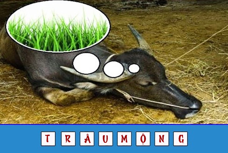 đuổi hình bắt chữ - Ảnh 4.