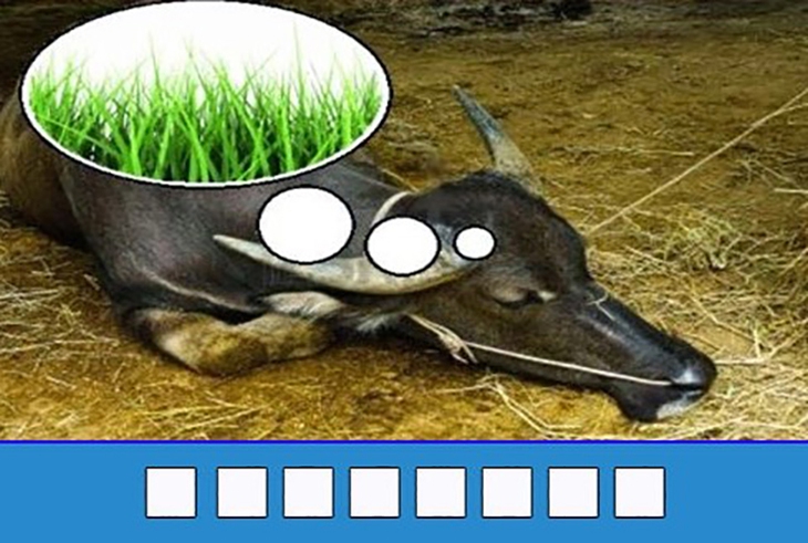 đuổi hình bắt chữ - Ảnh 3.