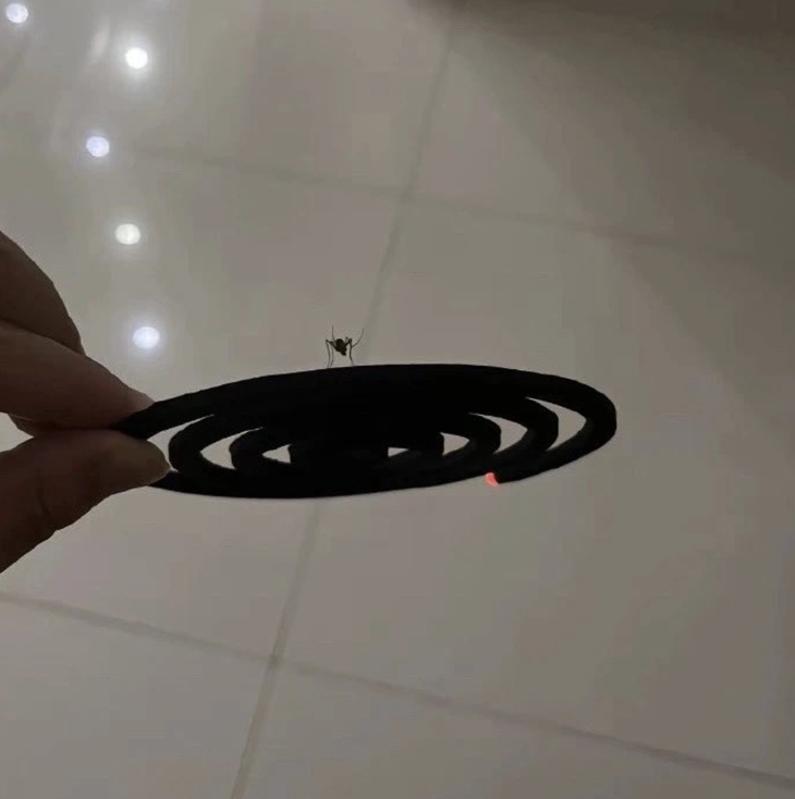 Hà Gia Kính - Ảnh 2.