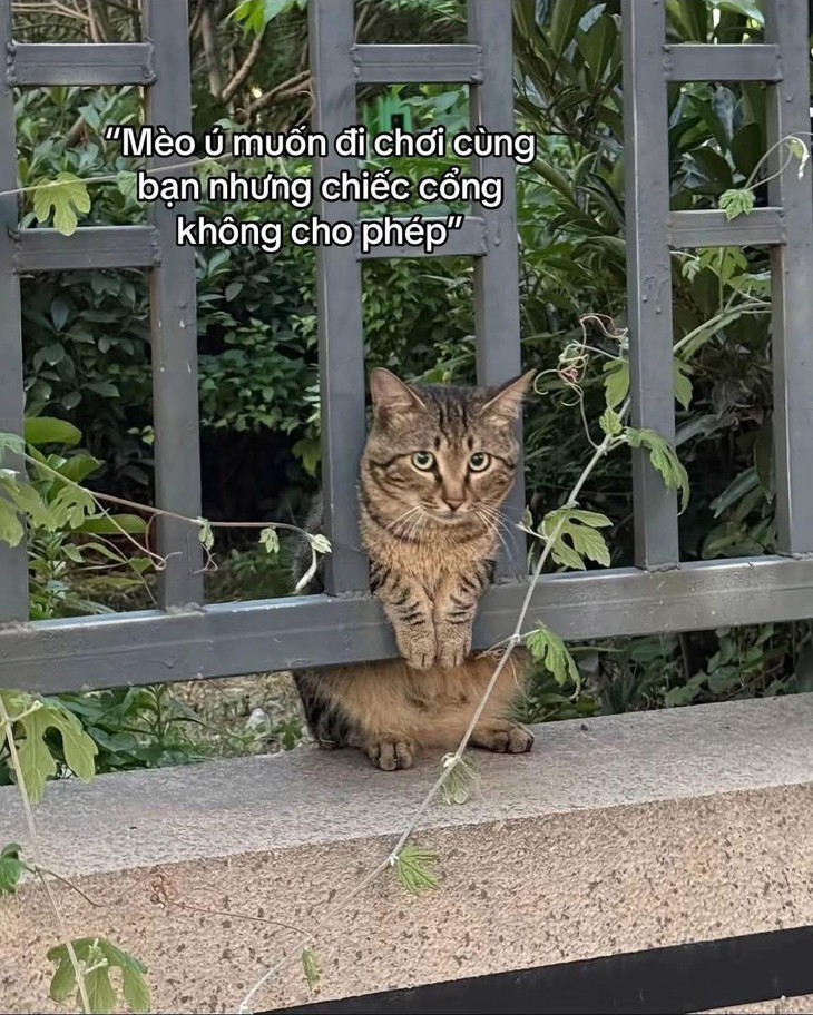 Hà Gia Kính - Ảnh 3.