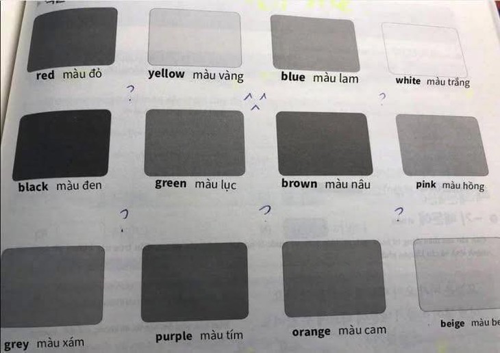 Hà Gia Kính - Ảnh 5.