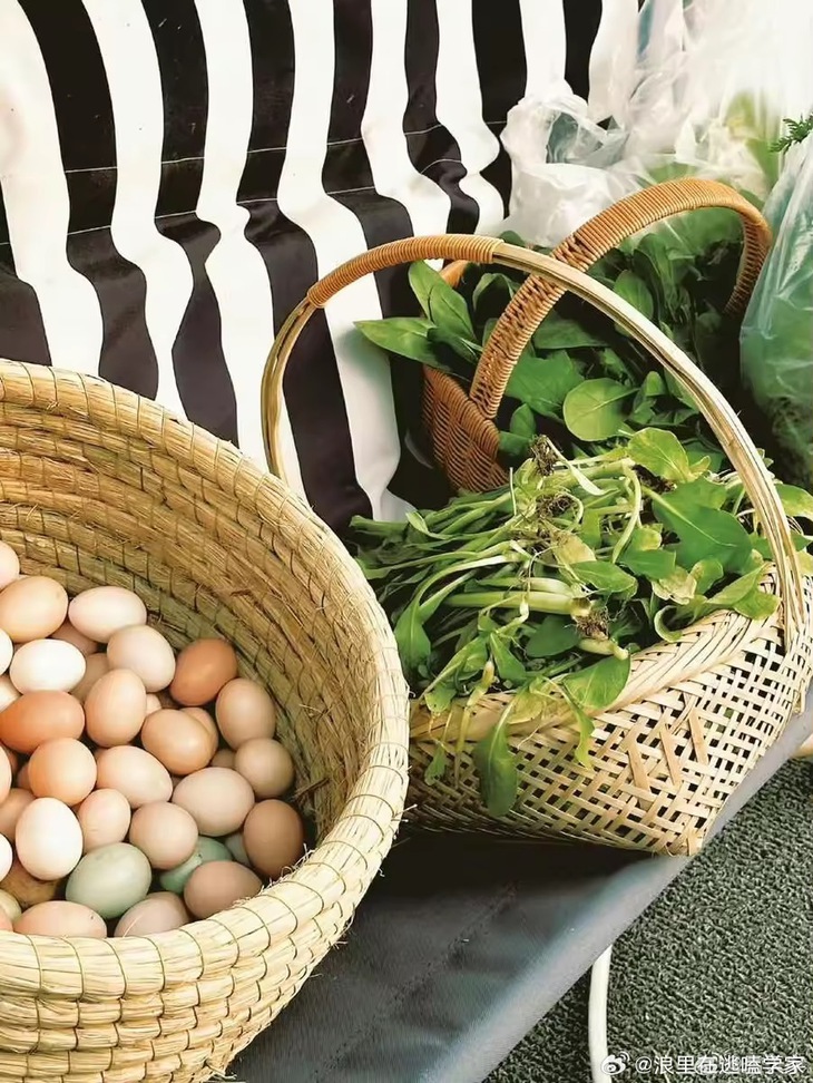 Mã Thiên Vũ - Ảnh 2.