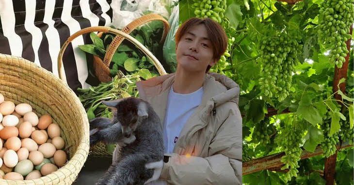 Mã Thiên Vũ - Ảnh 1.