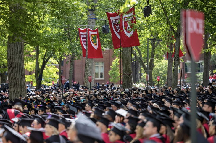 xin việc - Ảnh 2.