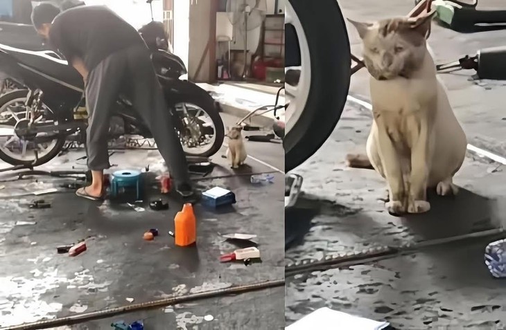 ảnh vui - Ảnh 3.