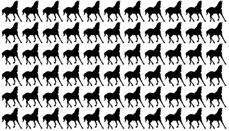 con thỏ - Ảnh 3.