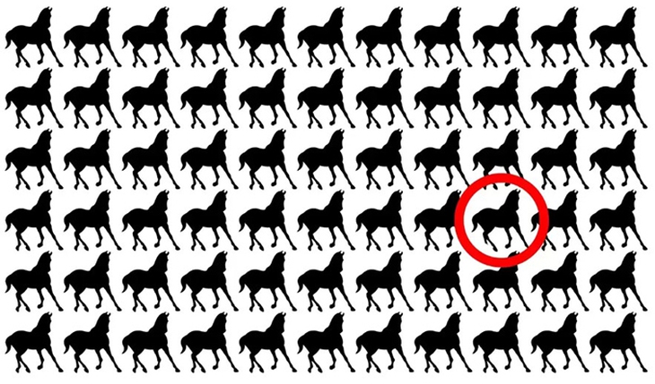 con thỏ - Ảnh 4.