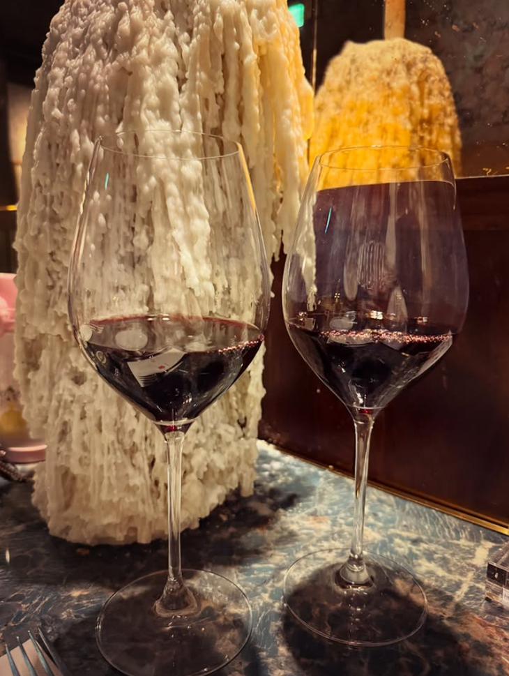 Lâm Tâm Như - Ảnh 3.