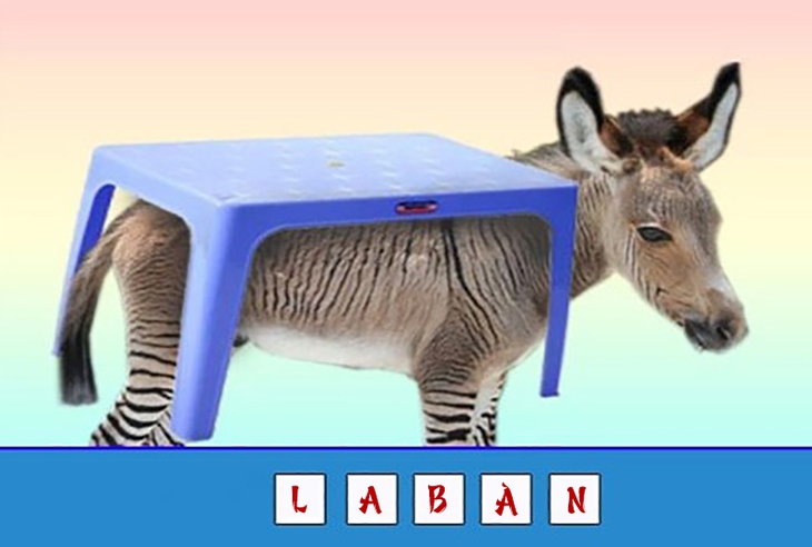 đuổi hình bắt chữ  - Ảnh 2.