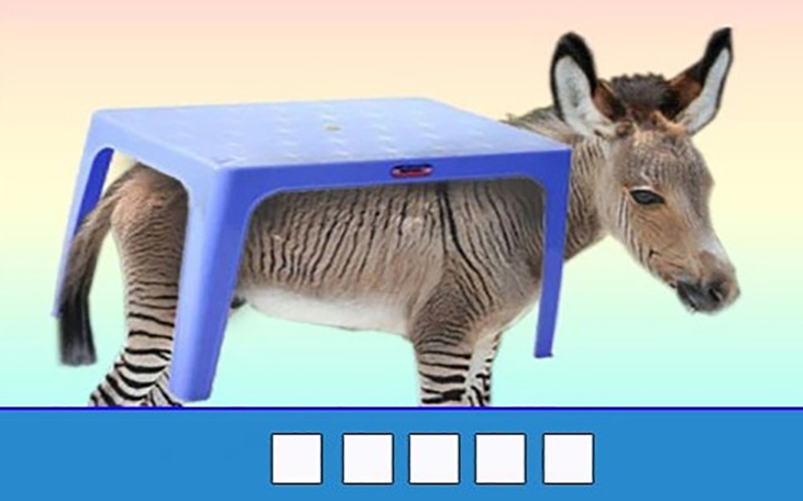 Thử tài IQ: Di chuyển một que diêm để 85+12=7 thành phép tính đúng - Ảnh 8.