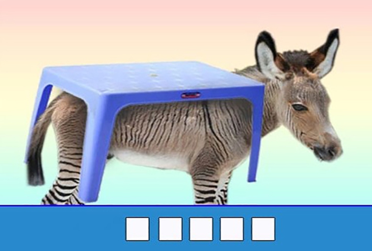 đuổi hình bắt chữ  - Ảnh 1.