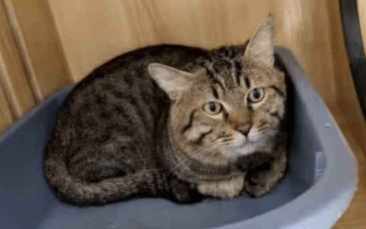 Ảnh vui 21-8: Chiều khách hàng như này xứng đáng 10 điểm! - Ảnh 7.