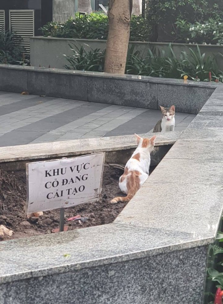 khách hàng - Ảnh 4.