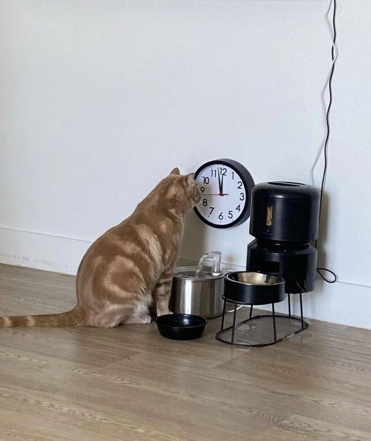 khách hàng - Ảnh 3.