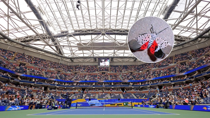 Us Open - Ảnh 1.