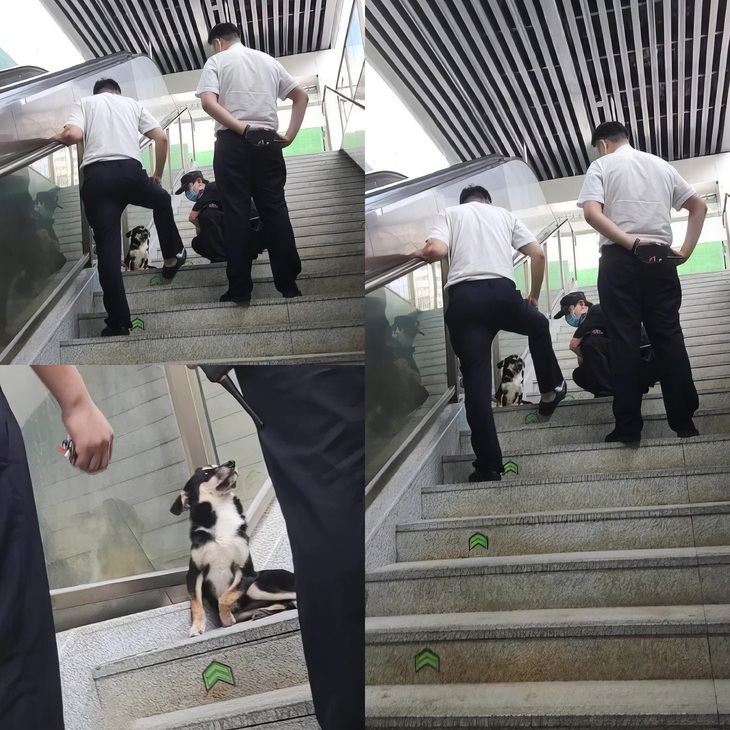 bàn phím - Ảnh 6.