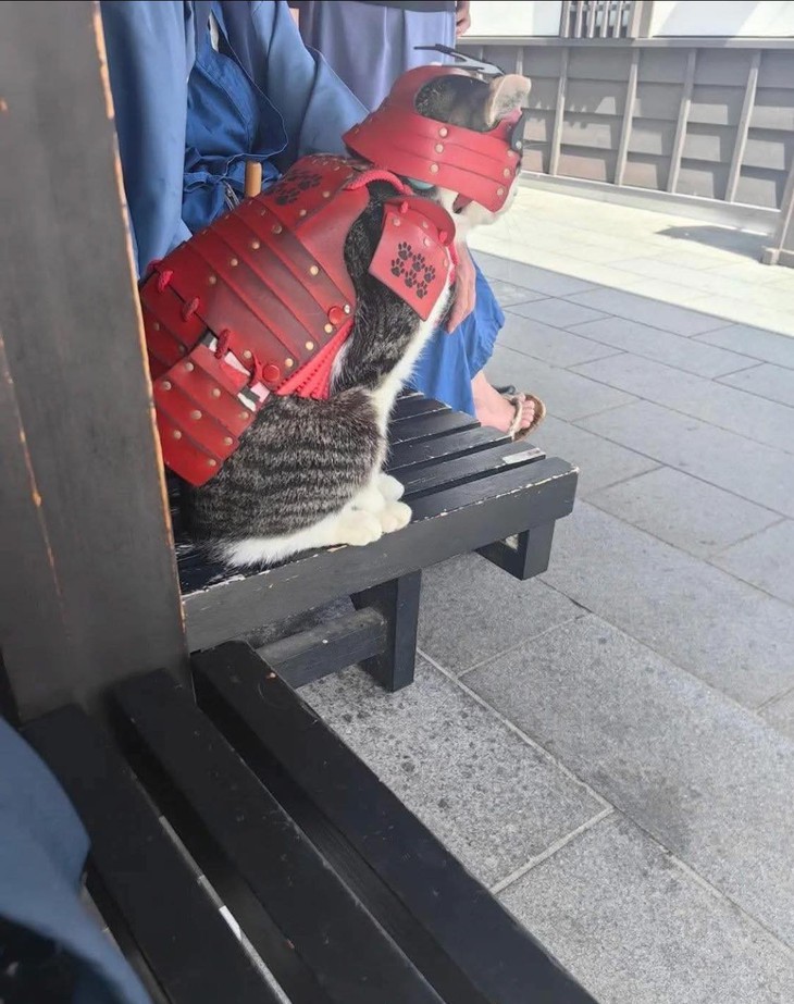 bàn phím - Ảnh 4.