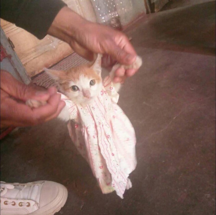 bàn phím - Ảnh 2.