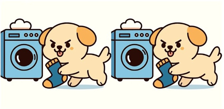 Thử tài tinh mắt - Ảnh 5.