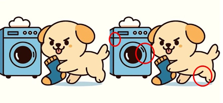 Thử tài tinh mắt - Ảnh 6.