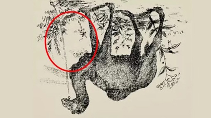 Thử tài tinh mắt - Ảnh 2.