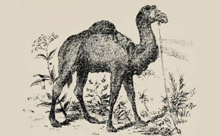 Quiz: Điều gì đang cản trở bạn đạt mục tiêu? - Ảnh 4.