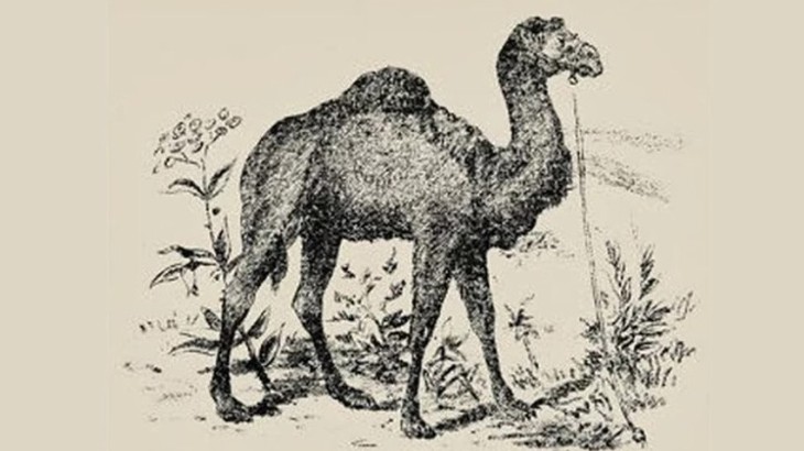 Thử tài tinh mắt - Ảnh 1.