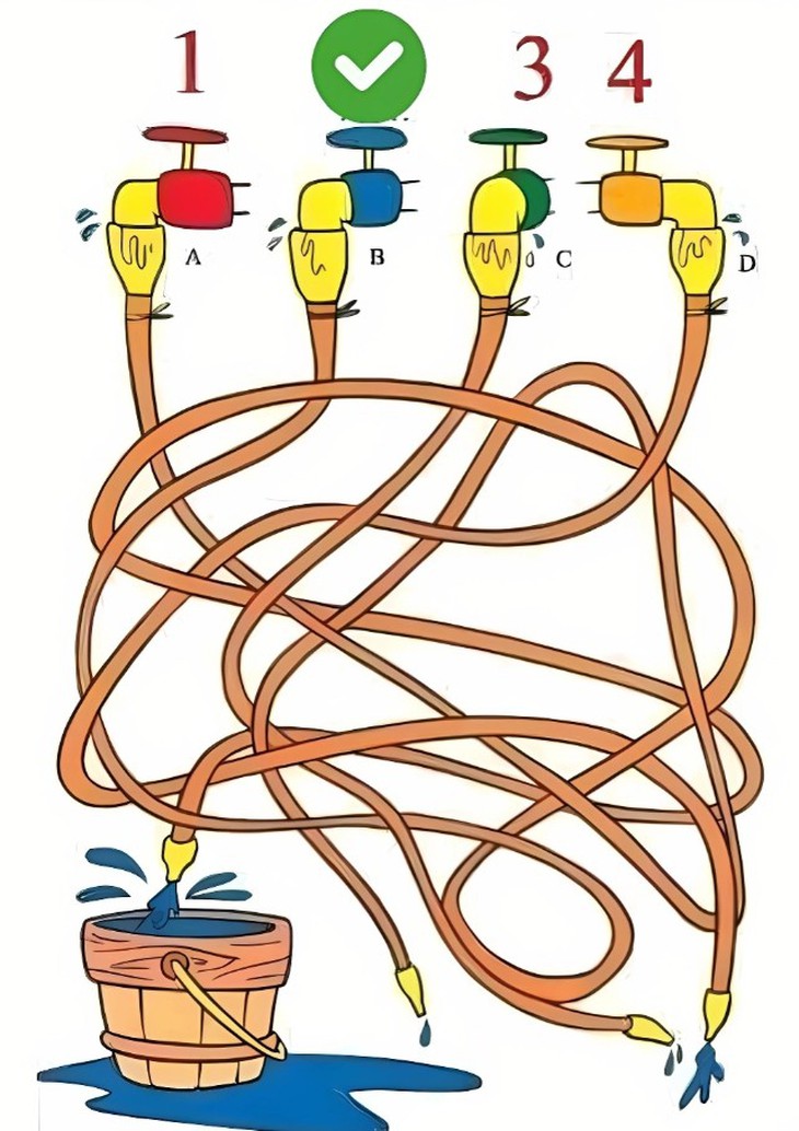 Thử tài tinh mắt - Ảnh 4.