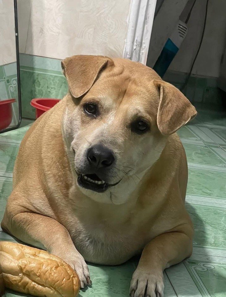 cảm xúc - Ảnh 2.