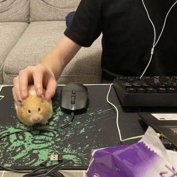 cảm xúc - Ảnh 3.