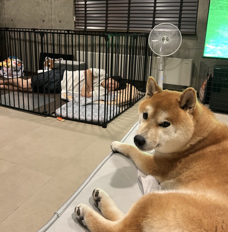 cảm xúc - Ảnh 5.