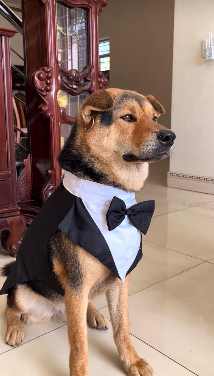 gia chủ - Ảnh 4.