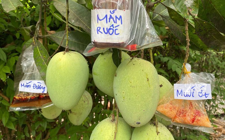 'Skibidi' được thêm vào từ điển Cambridge, biết nghĩa muốn 'á khẩu' luôn! - Ảnh 3.