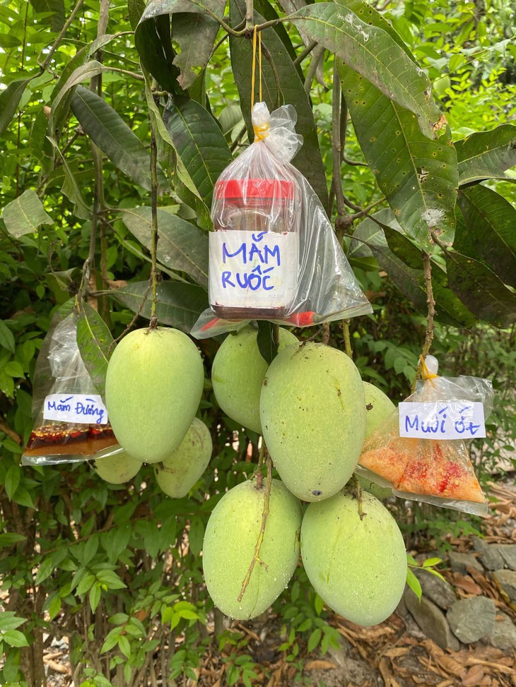 gia chủ - Ảnh 1.