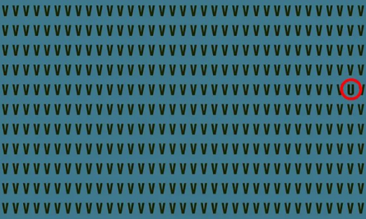 Thử tài tinh mắt - Ảnh 4.