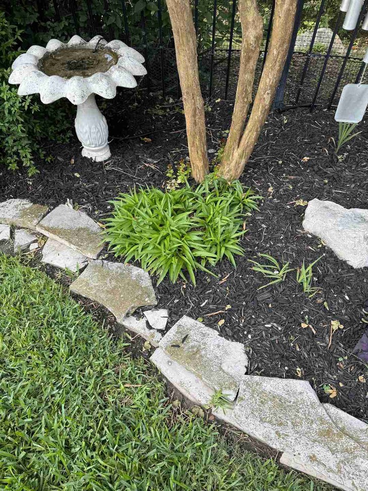 Thử tài tinh mắt - Ảnh 1.