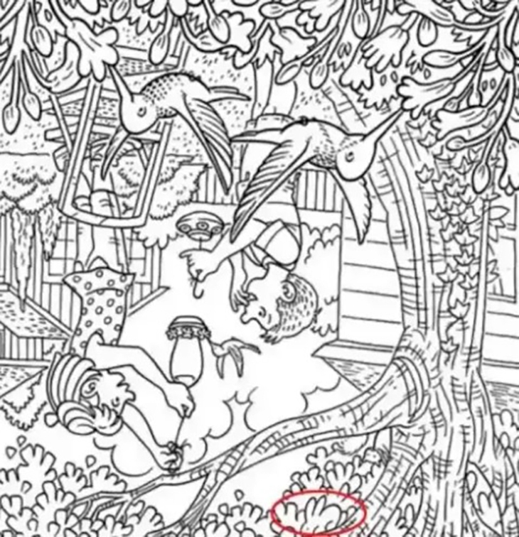 Thử tài tinh mắt - Ảnh 4.